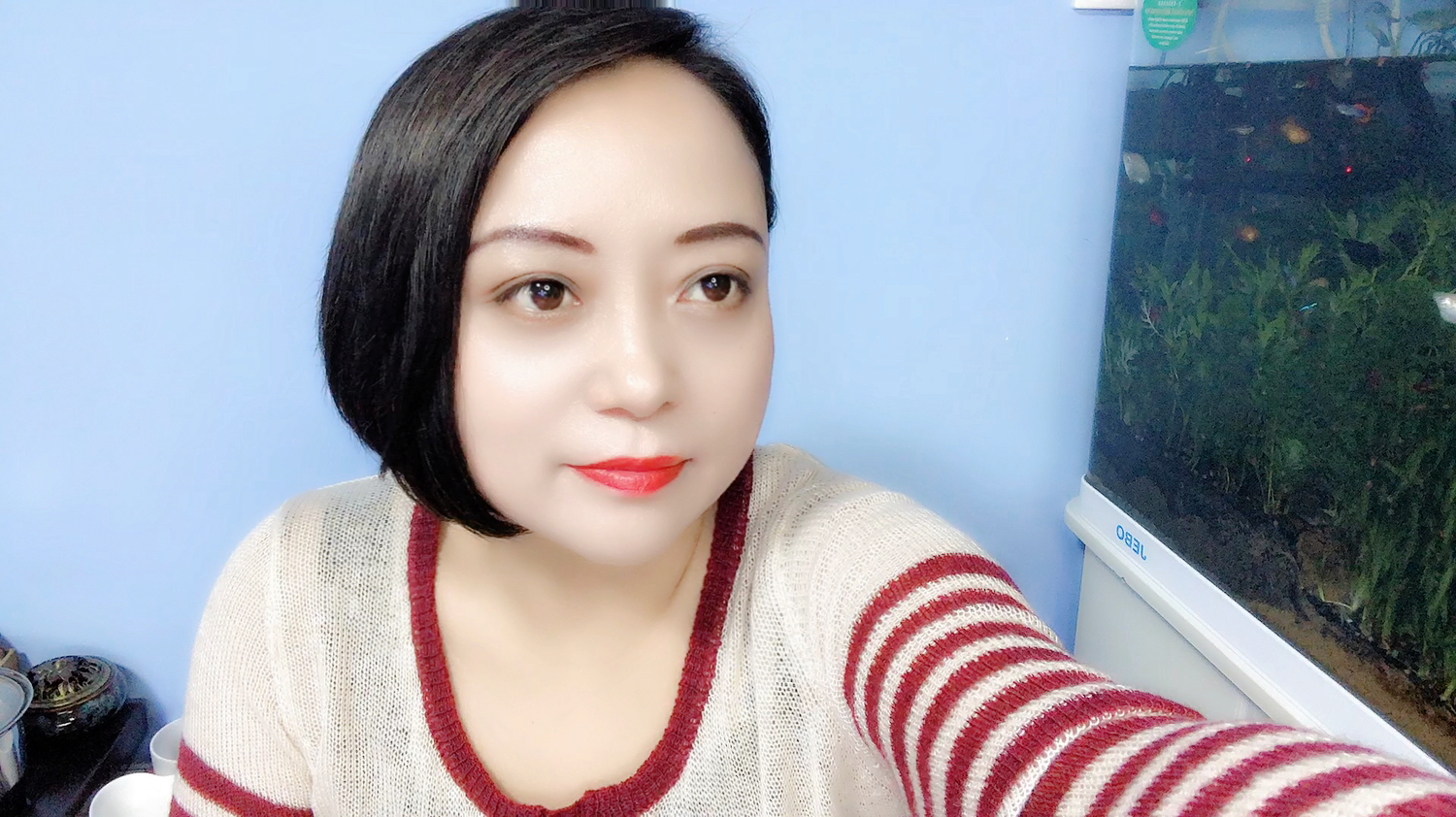 燕鱼成对的隔离,开始研究繁殖燕鱼,希望有经验的朋友指点迷津