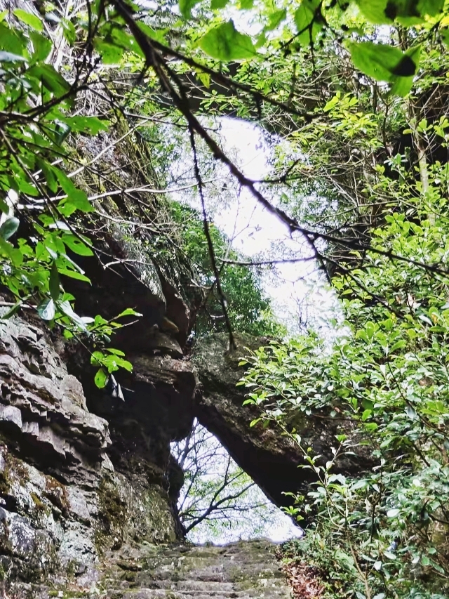 遊閩清白巖山