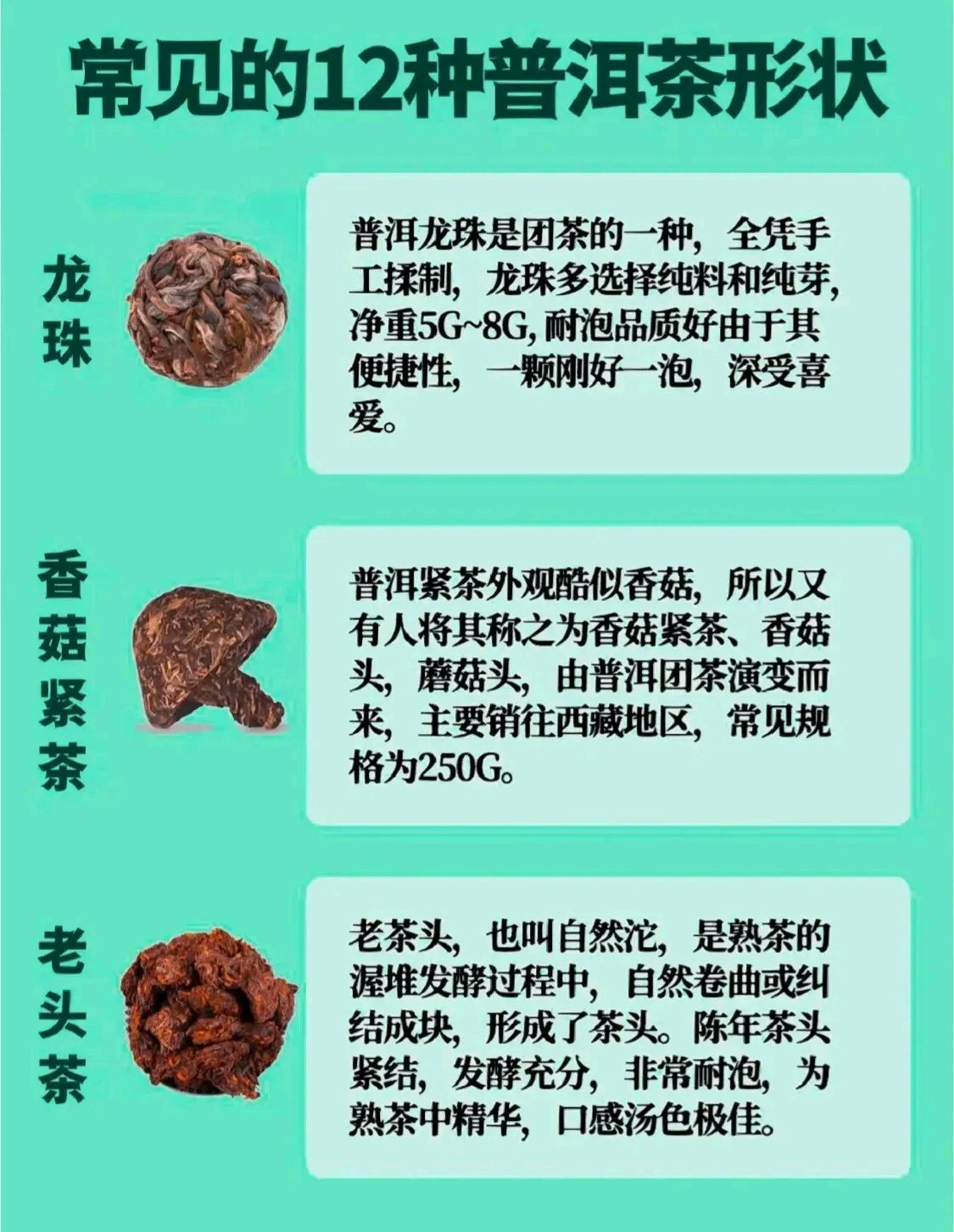 普洱茶名称大全和图片图片