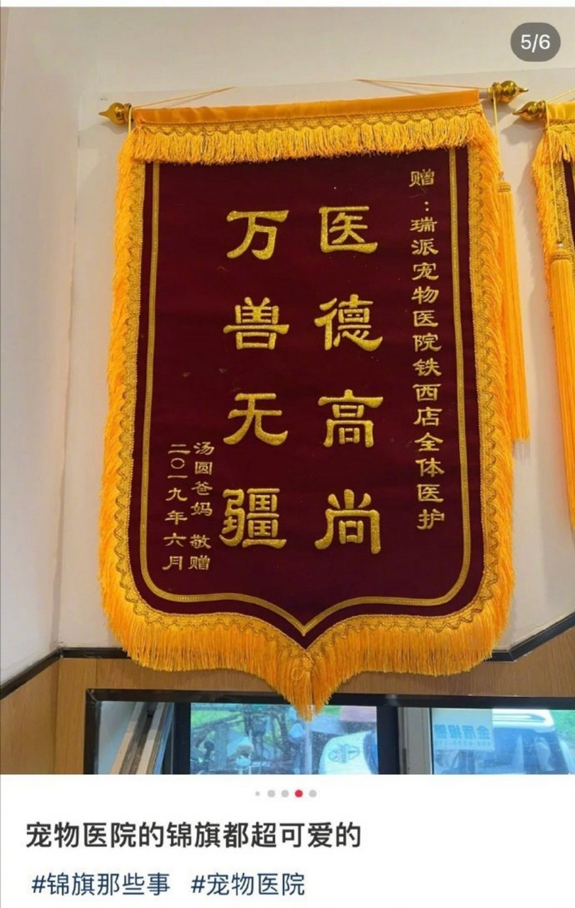 哈哈哈哈宠物医院的锦旗太可爱了吧