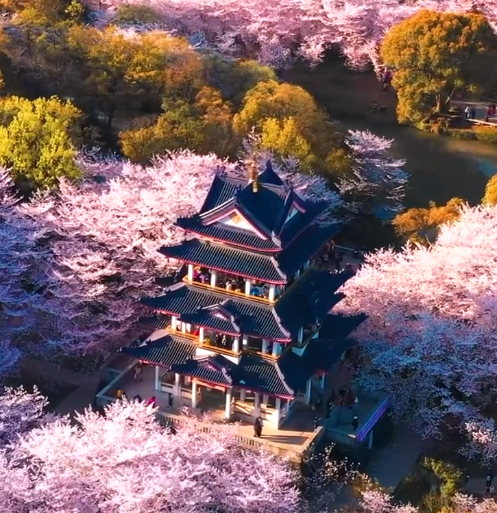 江苏无锡鼋头渚美景