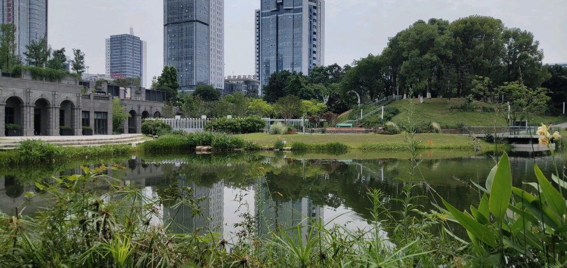 走进重庆两江新区百林公园,感受城市园林景观特色