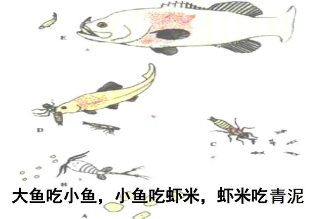 《食物鏈》漫画-食物鏈完整版-食物鏈动漫全集观看