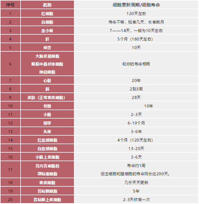 人的身体中细胞更新时间!