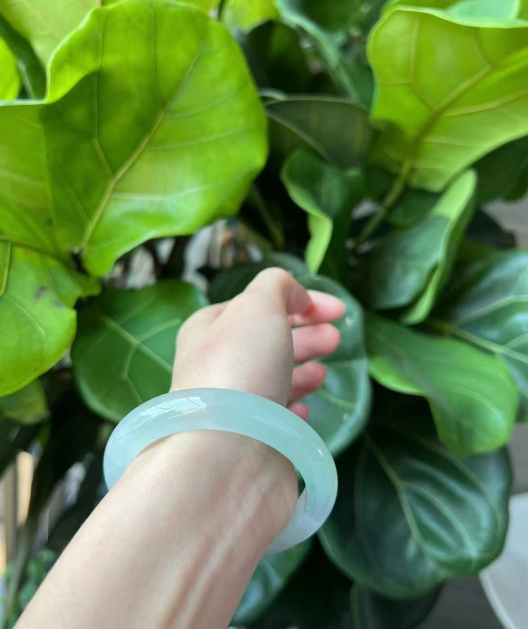 冰胶淡晴绿手镯,胶胶润润,底子干净#翡翠