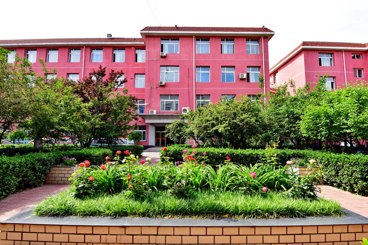 北京市第十中学教育集团创新人才培养成绩斐然!