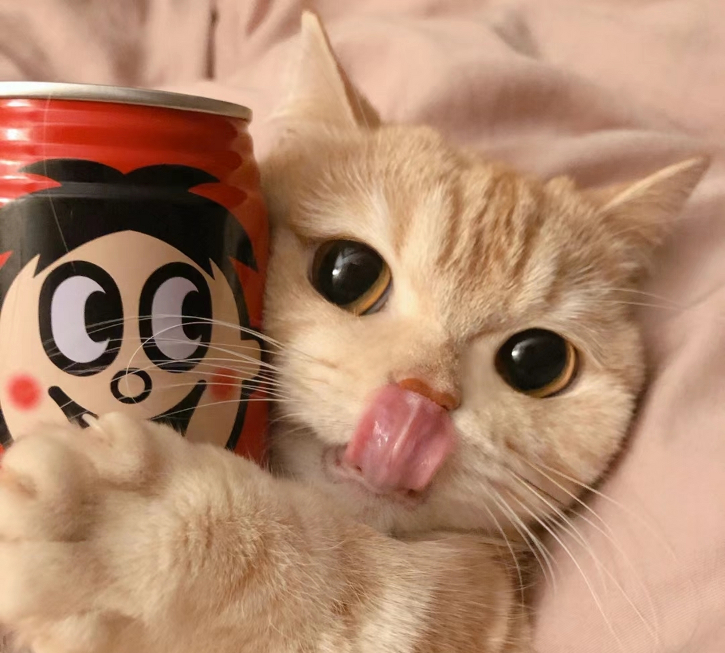 情侣头像# #可爱# #萌宠