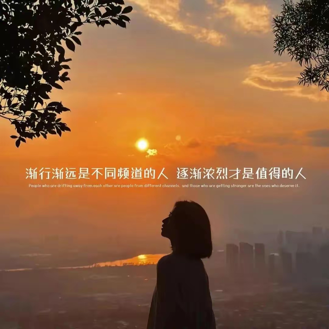 唯美文字头像,愿遇到一个懂你的人