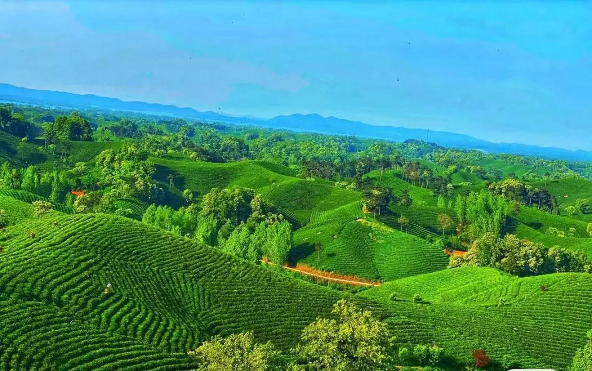 宝藏创作者计划# 天云山位于信阳市浉河区董家河镇塔耳湾村,山势陡峭