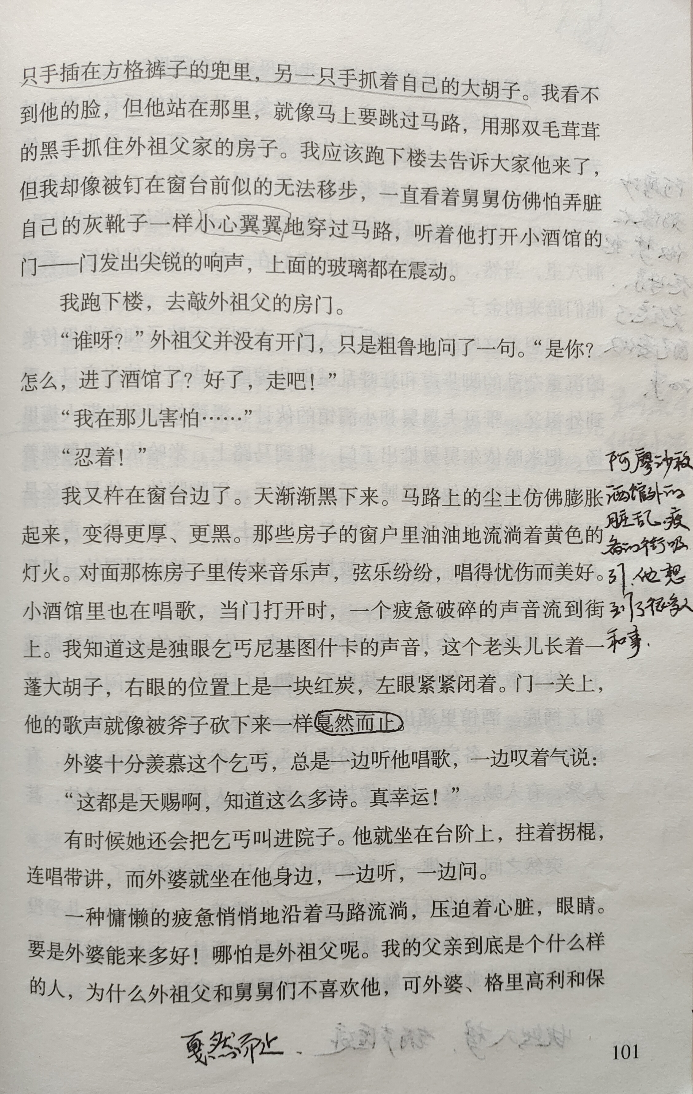 《童年》第六章批注笔记:家庭不和是不幸!