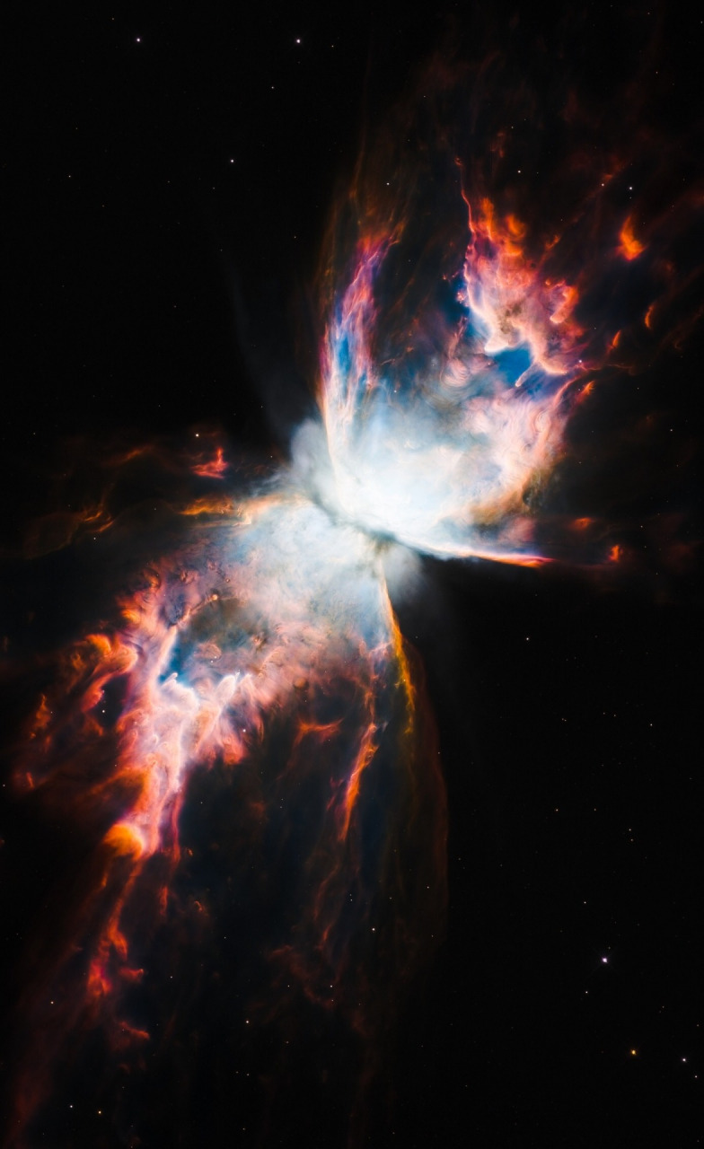 天蝎座 ngc6302 蝴蝶星云