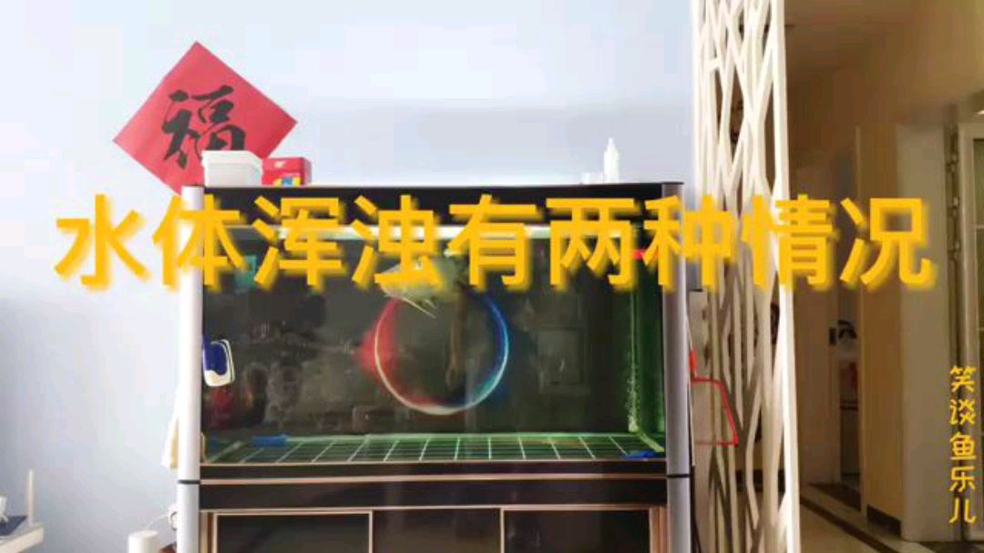 在养鱼过程中多少会碰到水体浑浊的情况,分析原因对症调理