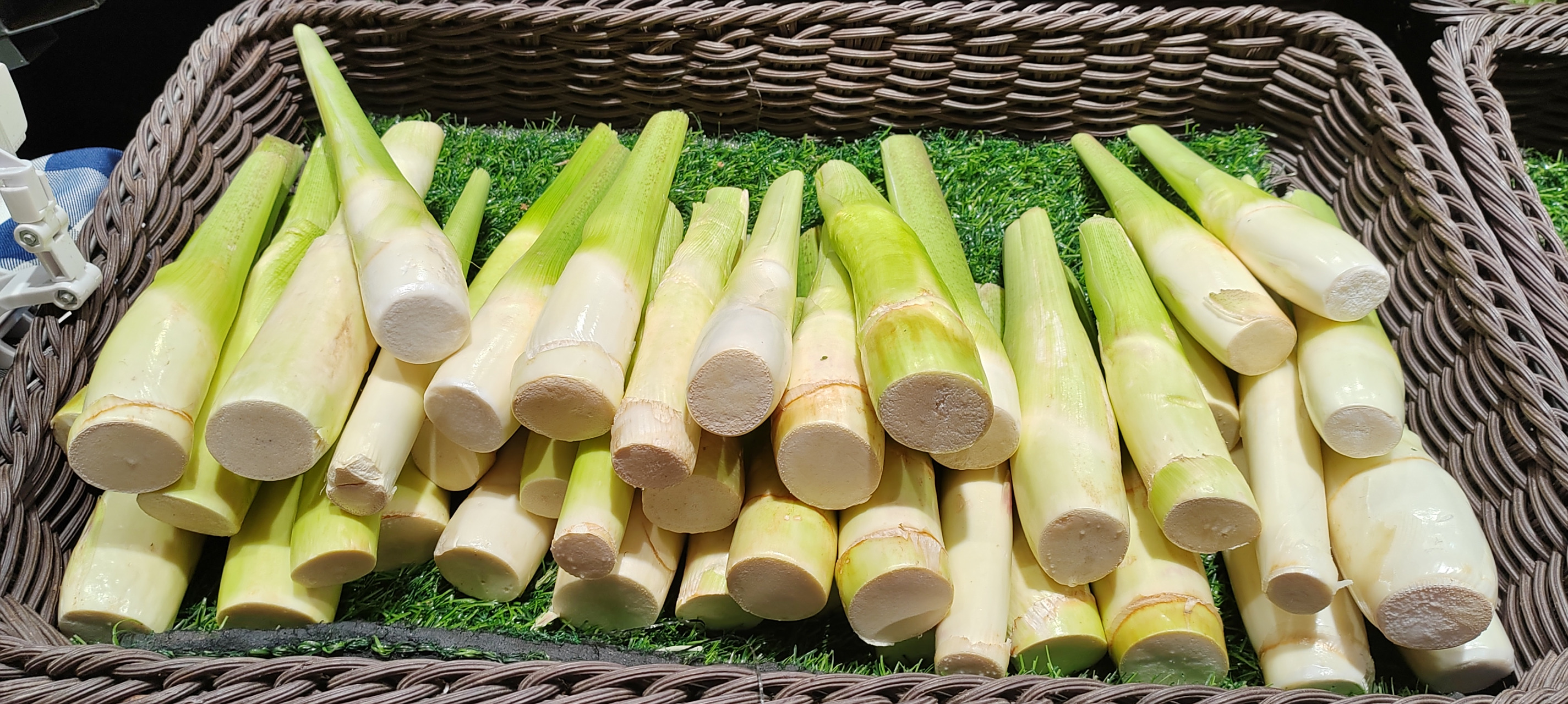 分享图片:竹笋与茭白,大笋与小笋,人间烟火味