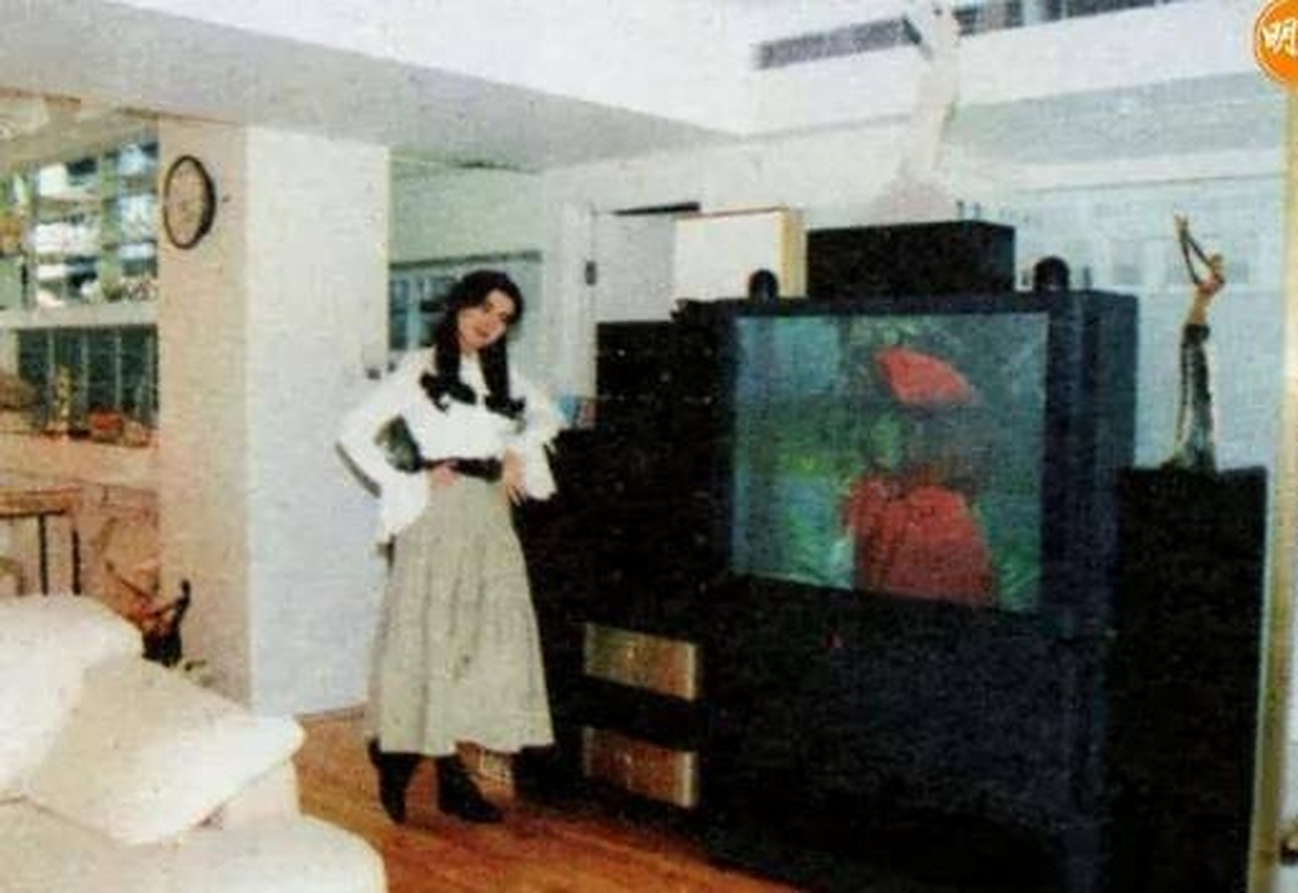 王祖贤家的"空中豪宅",妥妥的富婆,家境优渥事业有成,而且有商业头脑