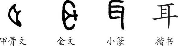 耳字的演变过程图片图片