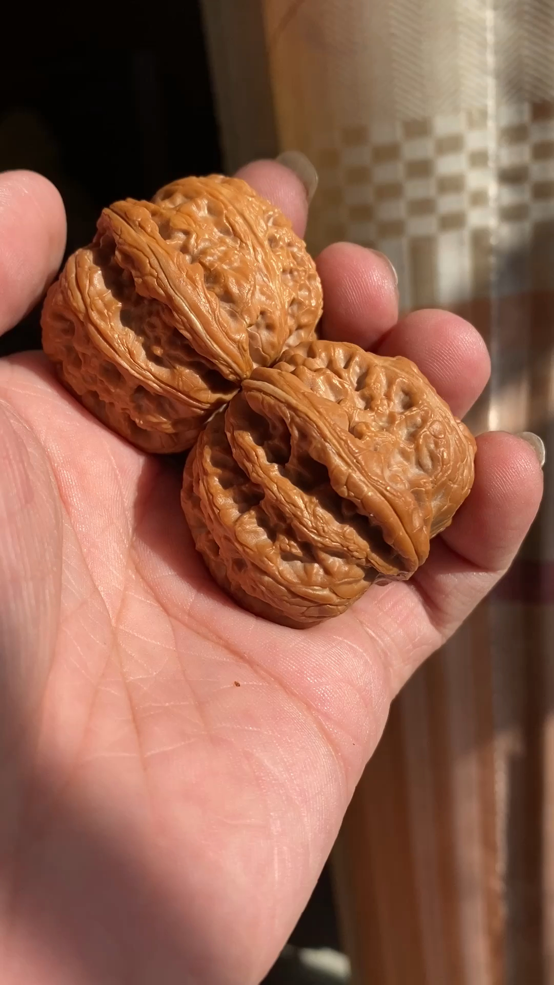 平谷元宝文玩核桃按照什么标准挑选-度小视