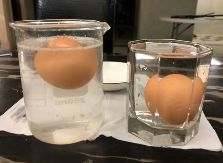 盐水浮鸡蛋实验图片图片
