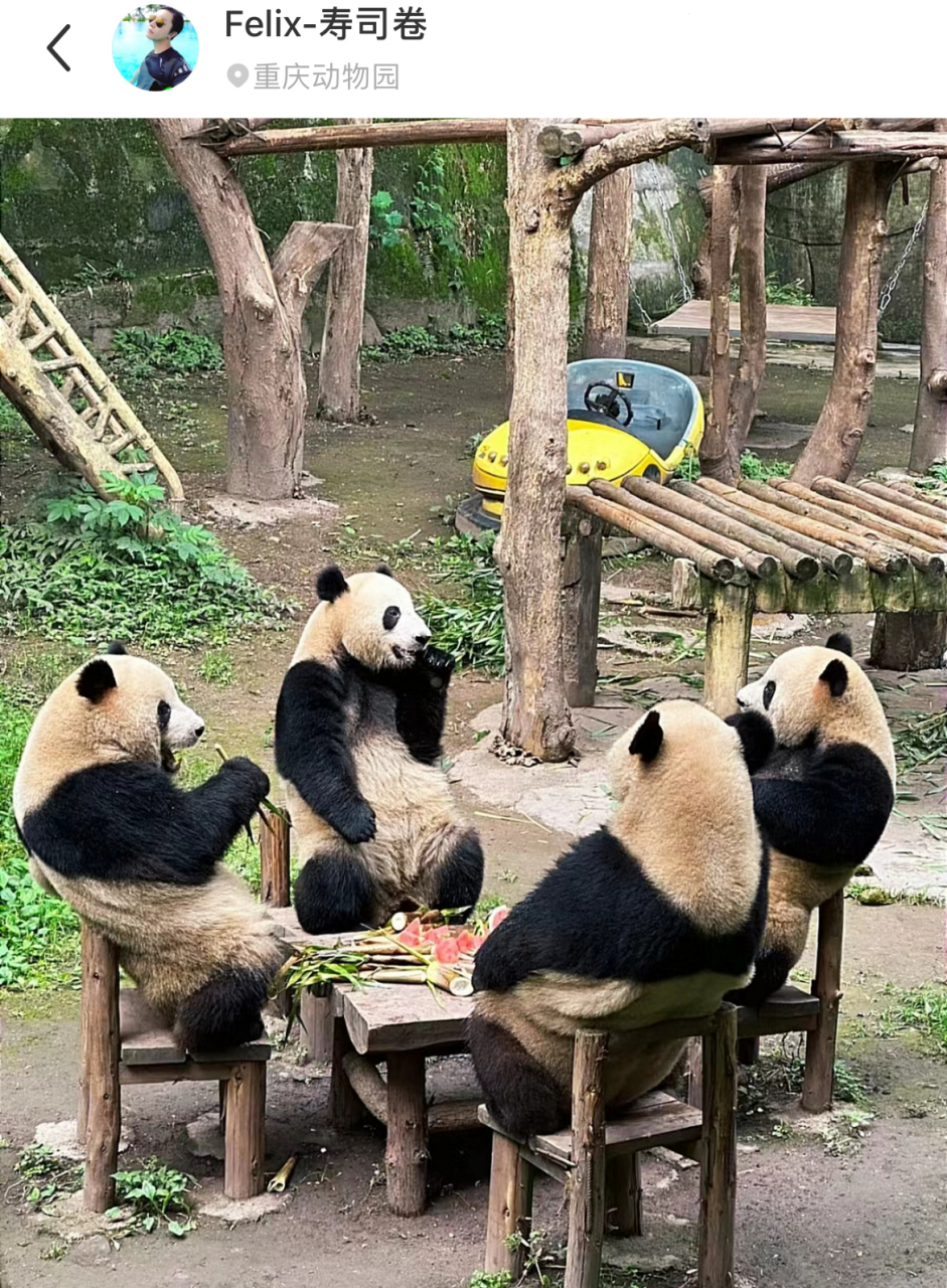 重庆渝北动物园图片