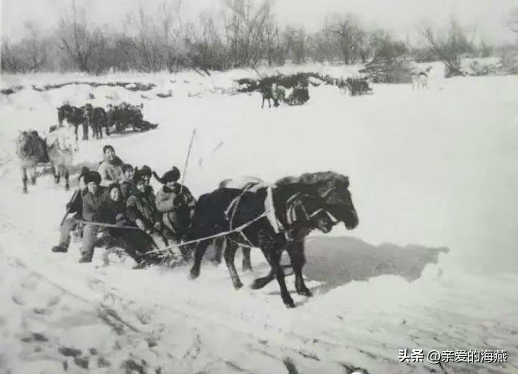 当时的66,67,68三届初,高中毕业生(俗称"老三届"),1968年冬,知青来到