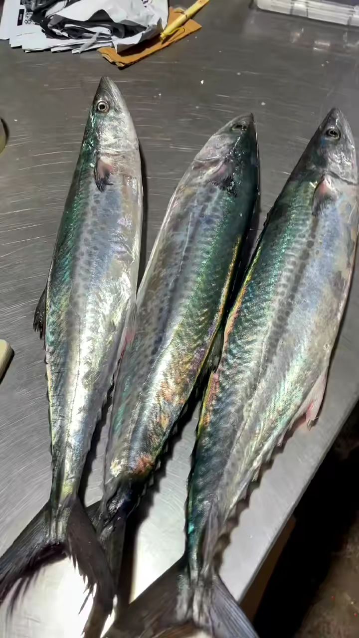 象山港蓝点川乌上市了,一年就一个月有哦