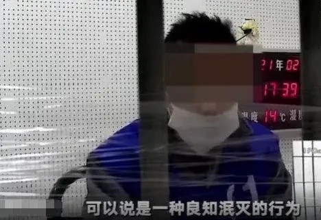 网络大v辣笔小球图片