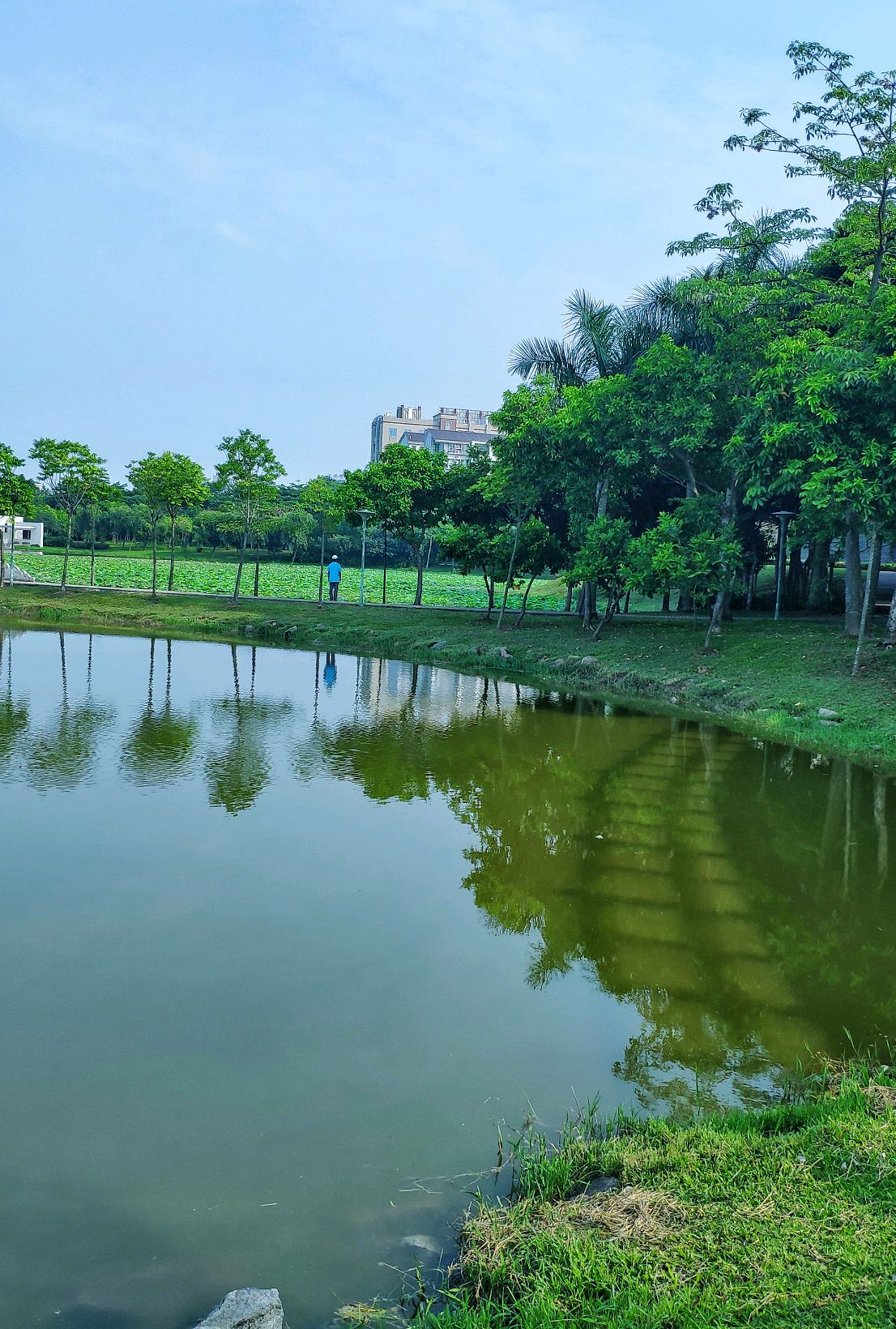 惠州北湖公园探秘