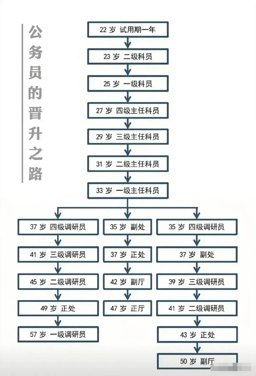 看到这张图,不得不说,这个朋友是把公务员的晋升之路真的说明白了