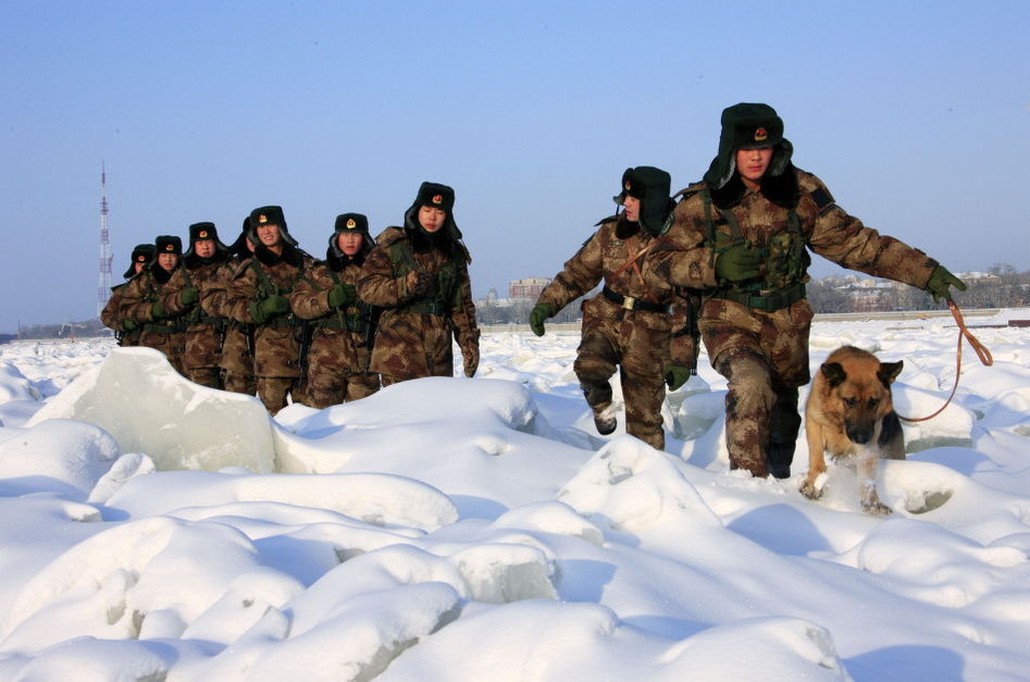 1999年,战士巡逻遇暴雪,无法原路返回,狼群出现战士获助