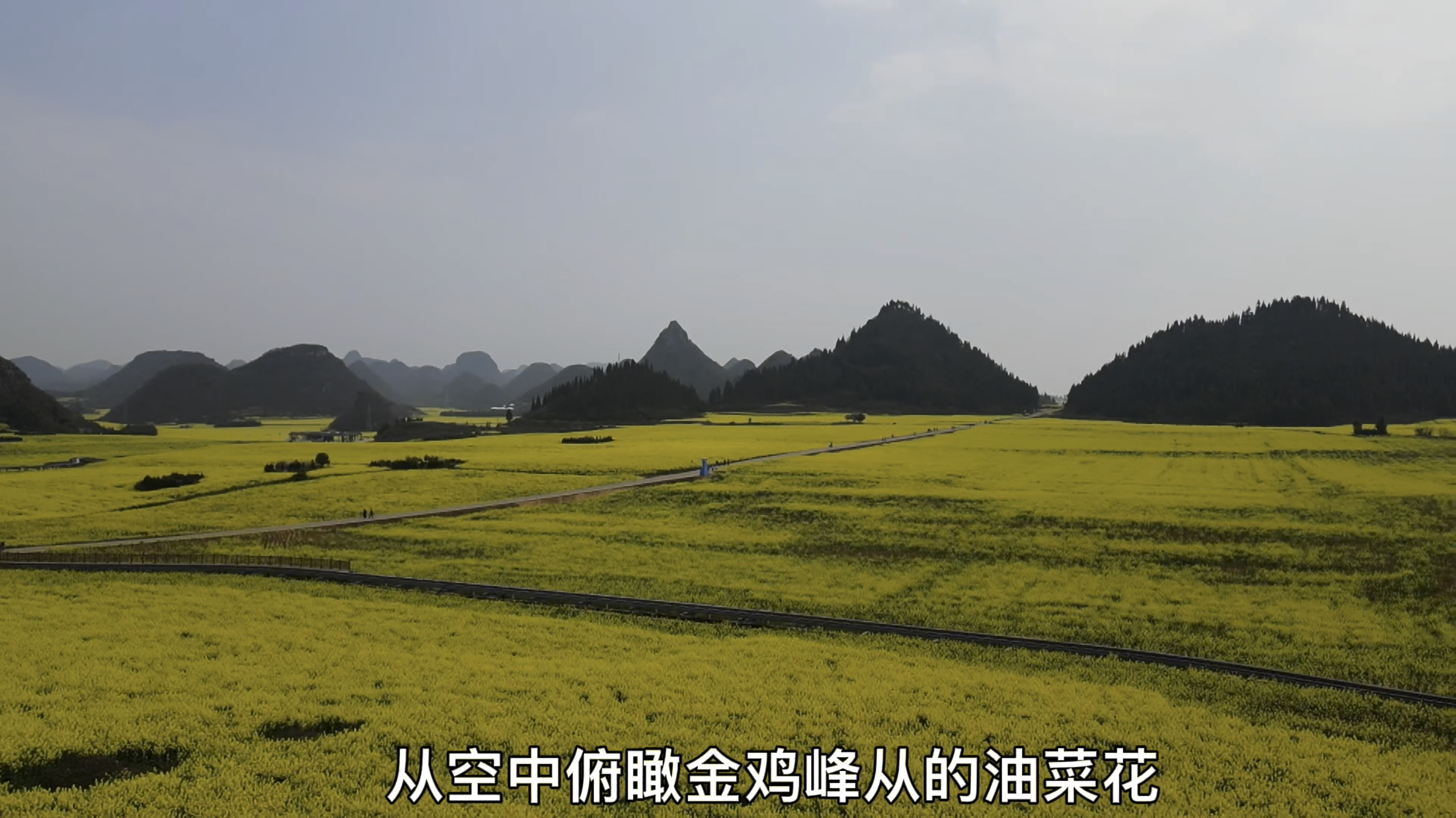 现在的罗平空气中都弥漫着油菜花香,航拍金鸡峰从景区