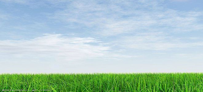 我给科普一下新卡农大厅房卡