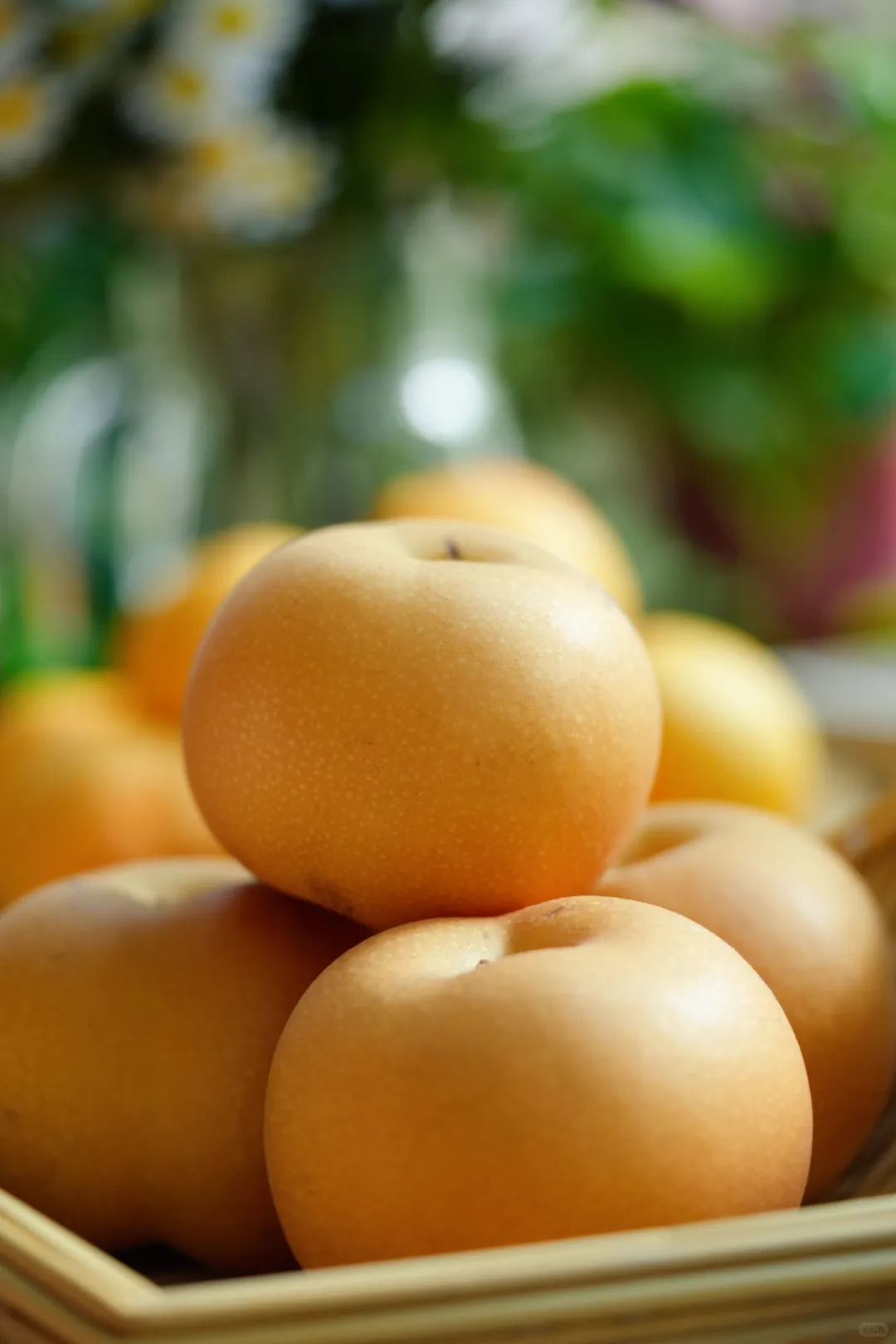 秋梨寒凉伤胃?加片陈皮隔水蒸,润肺不拉肚子