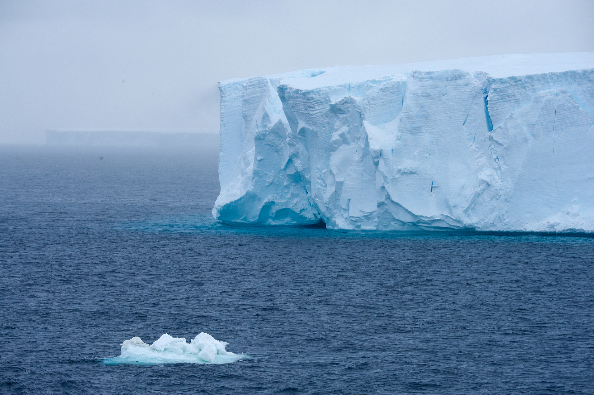 北极与南极有啥区别?看完长知识了!建议收藏