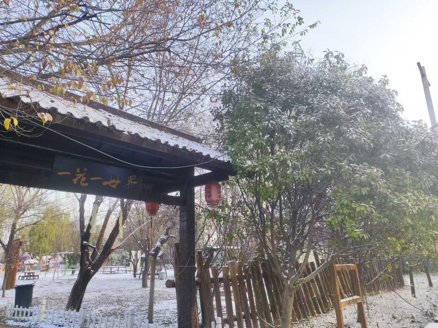 初雪悄至,银装素裹!三秋醋博园邂逅2025年冬首场浪漫雪景