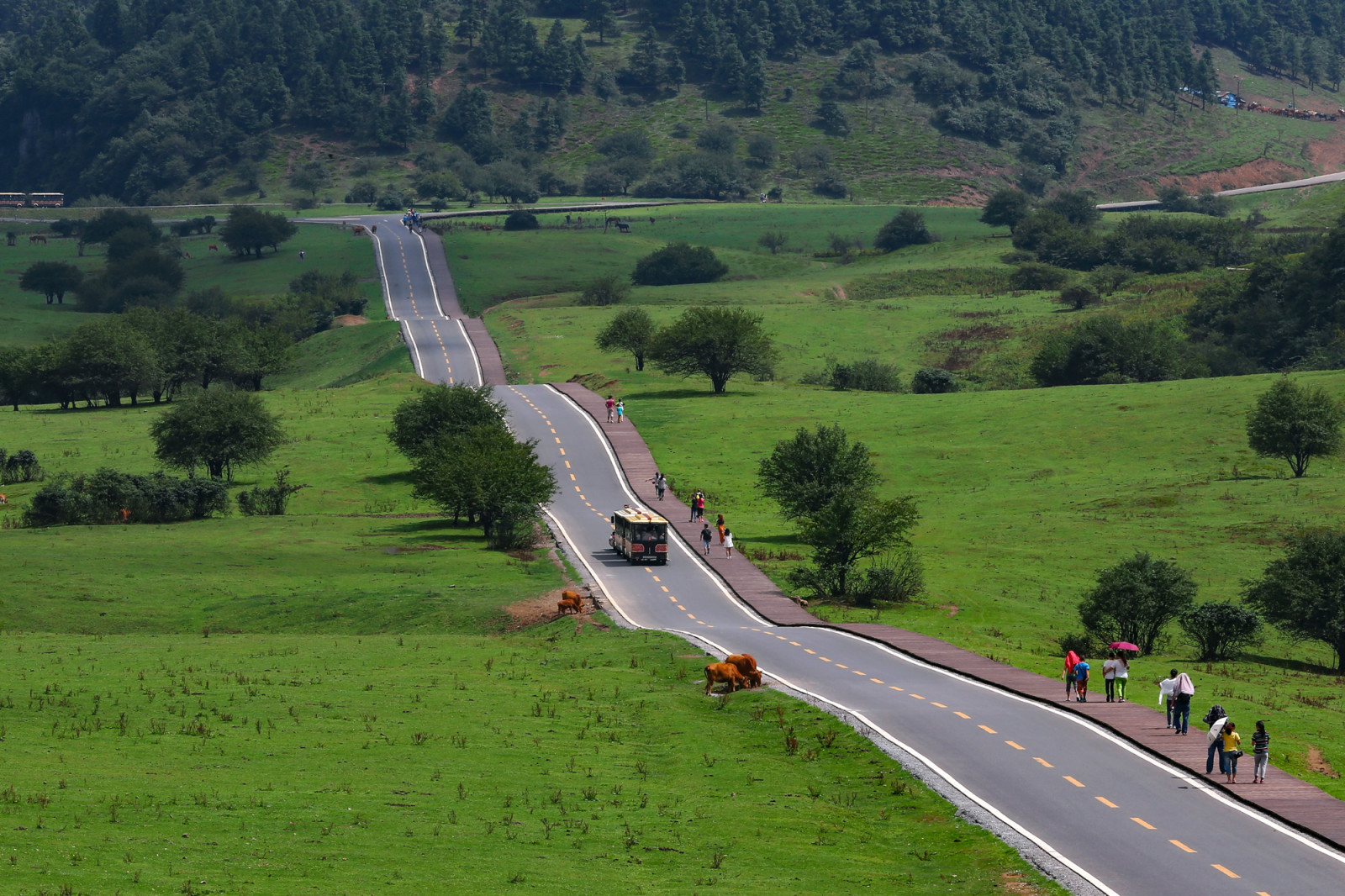 重庆到仙女山一日游攻略(重庆到武隆直达车方便快捷)