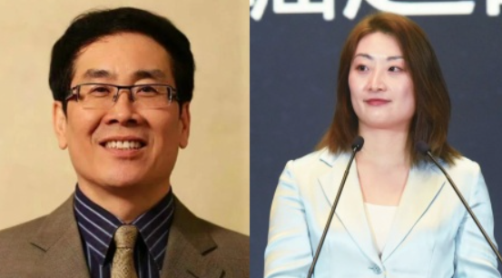宗泽后，宗泽后个人简历