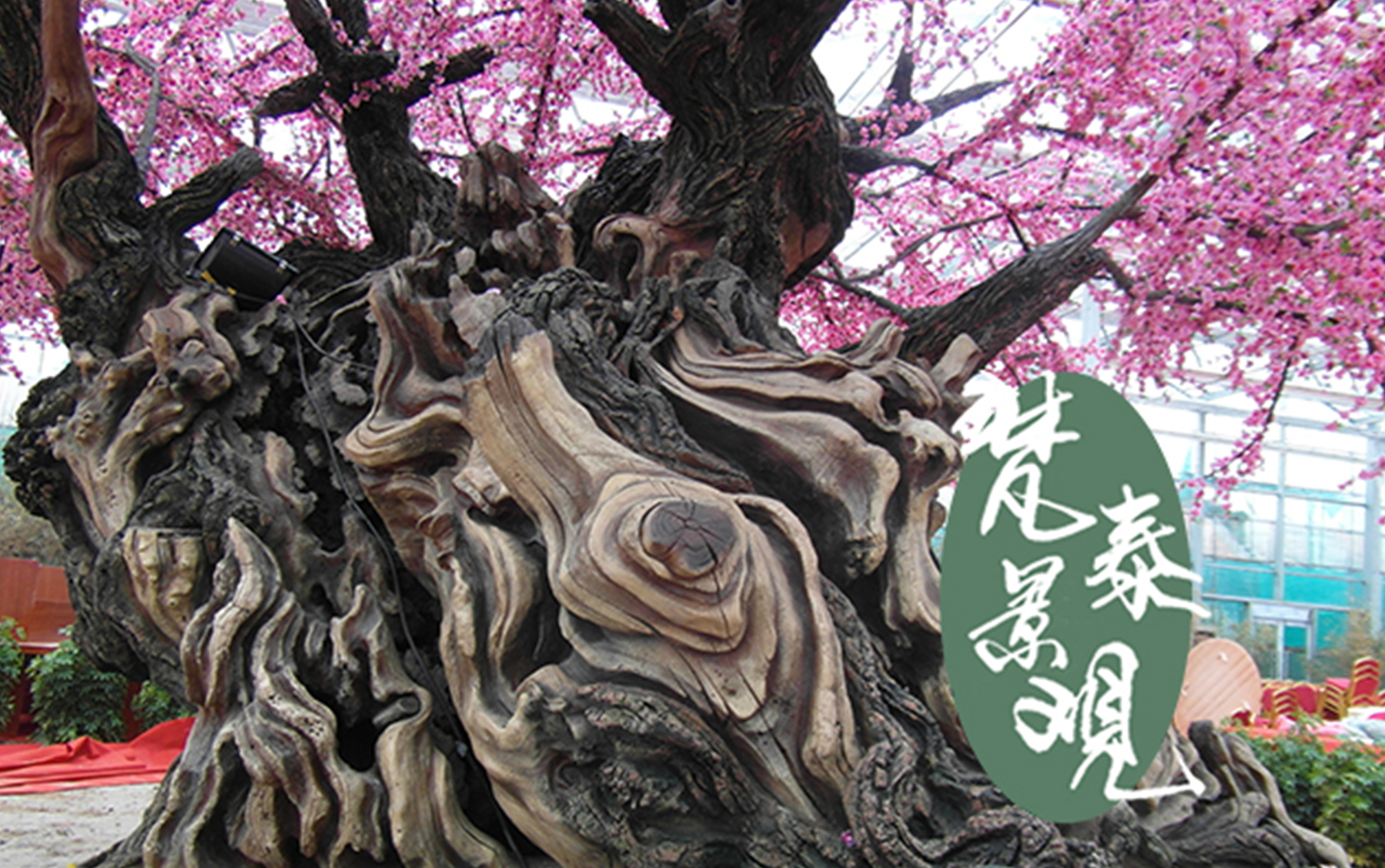 盘点水泥仿真树造型,逼真不踩雷