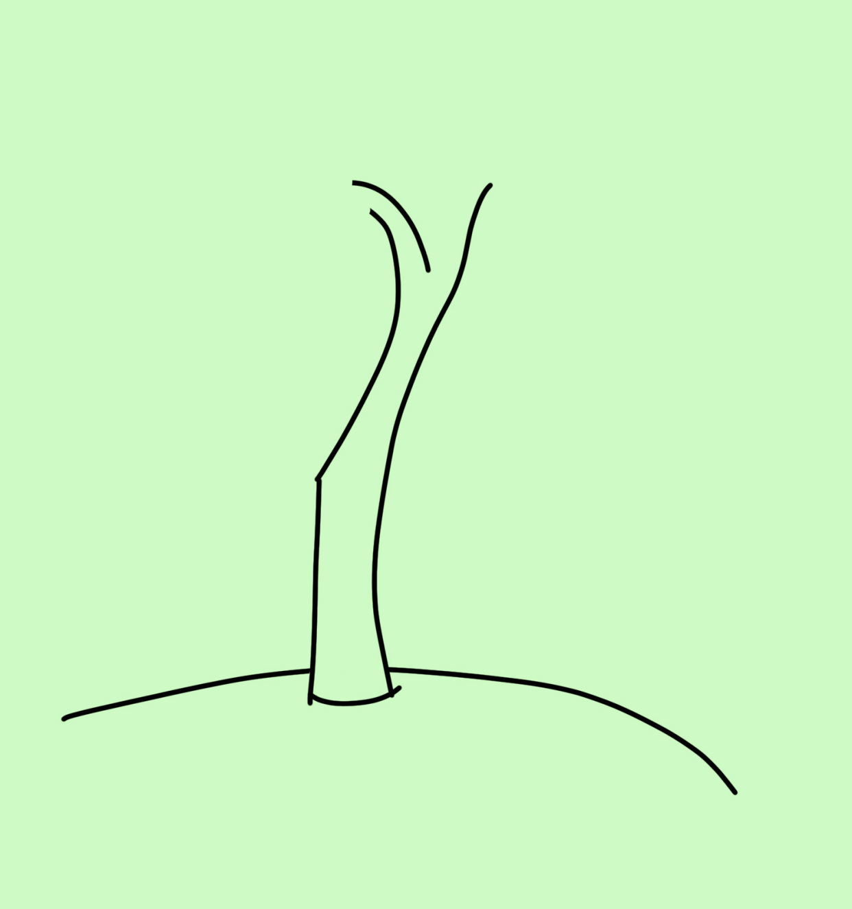 柳树的简笔是要怎么画