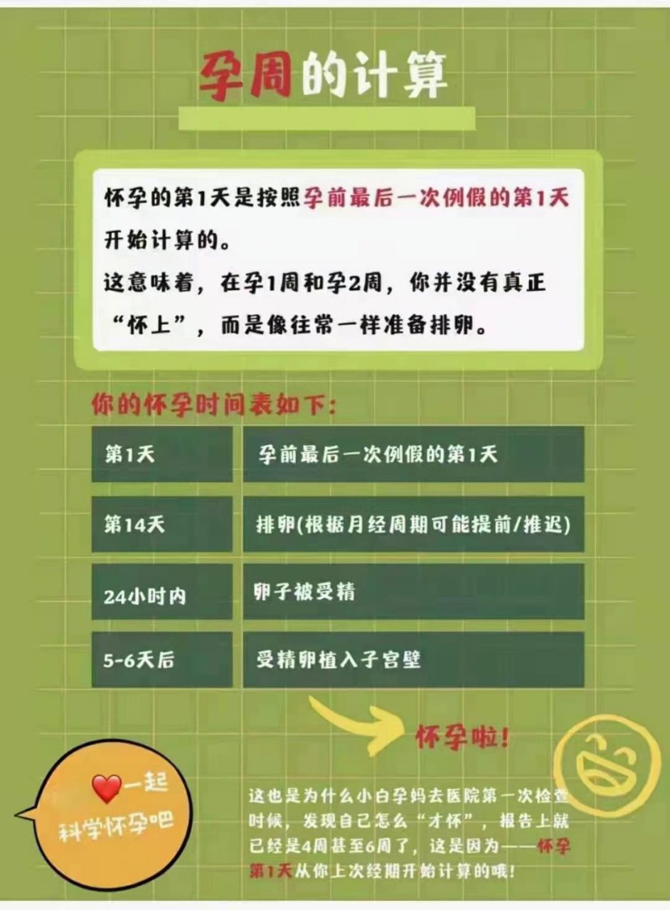 怀孕从什么时候开始算图片