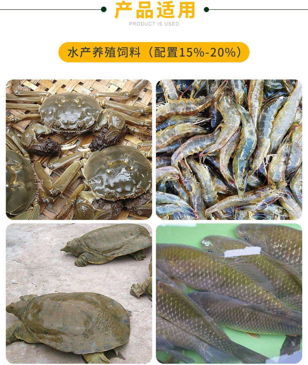 高端水产的简单介绍 高端水产的简单

先容
（高端水产有哪些） 水产