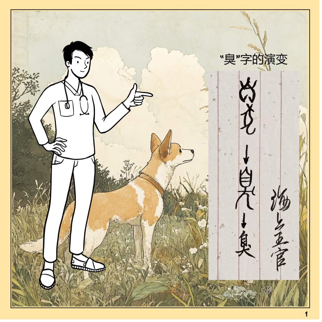 你也有口臭吗？摆脱口臭，感受清新生活