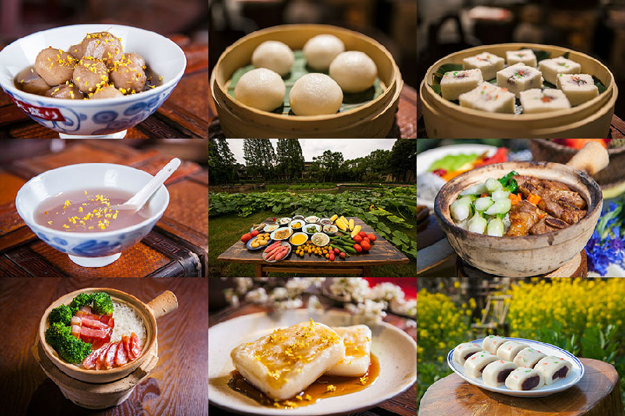 乌镇风景区旅游攻略