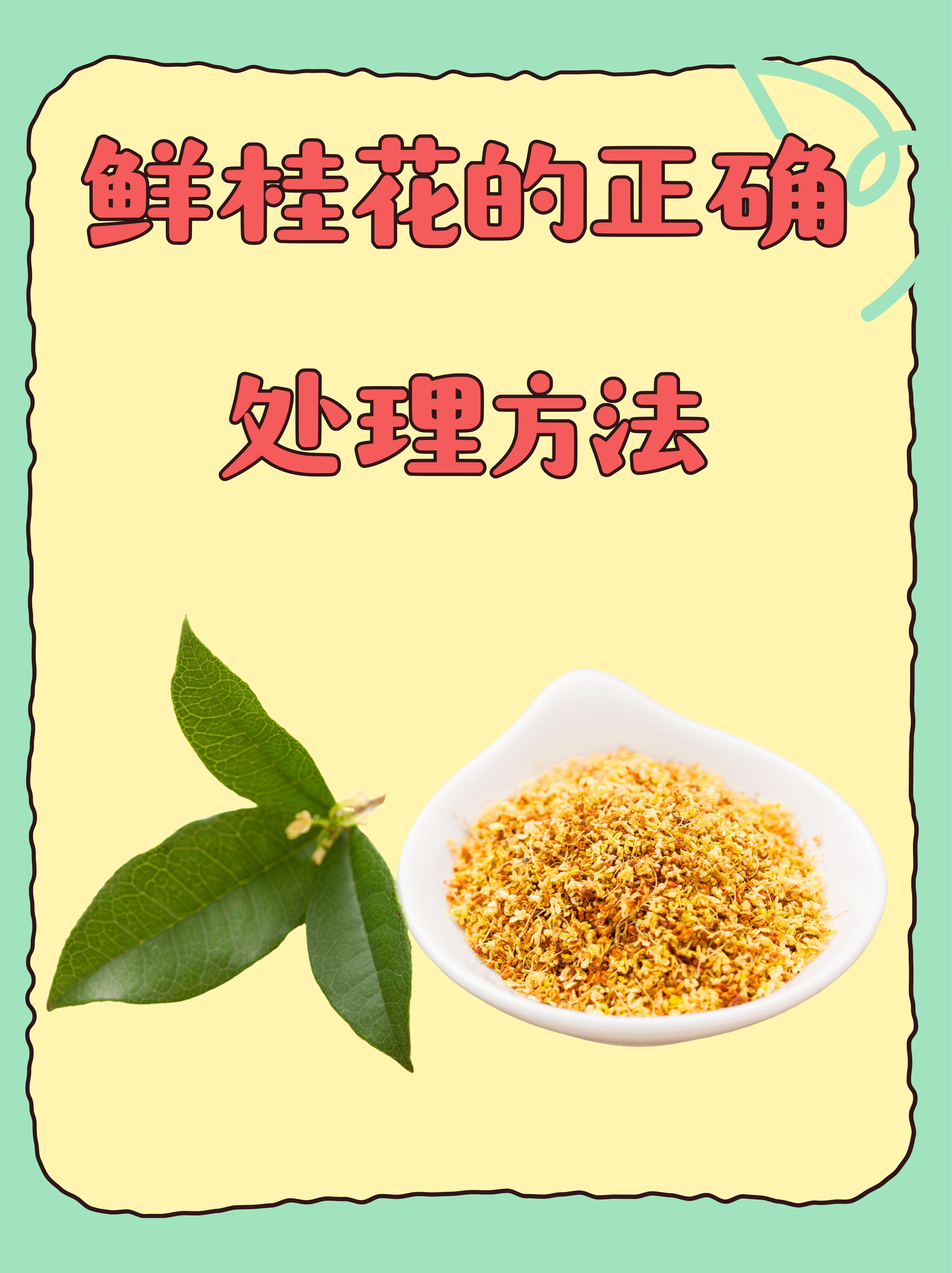 鲜桂花可以泡蜂蜜吗功效(鲜桂花可以泡水喝吗?) 鲜桂花可以泡蜂蜜吗功效(鲜桂花可以泡水喝吗?)