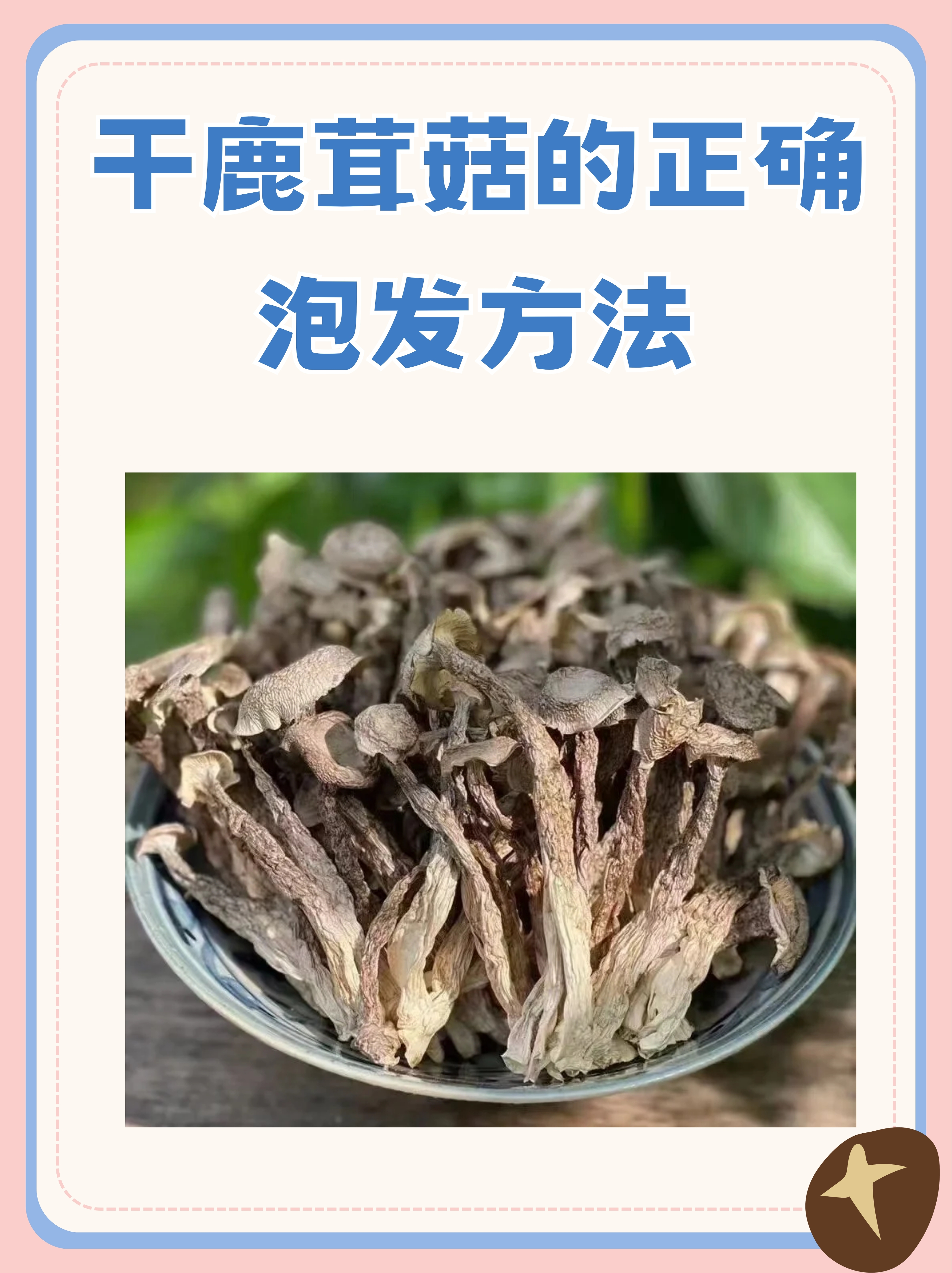 干鹿茸菇的正确泡发方法