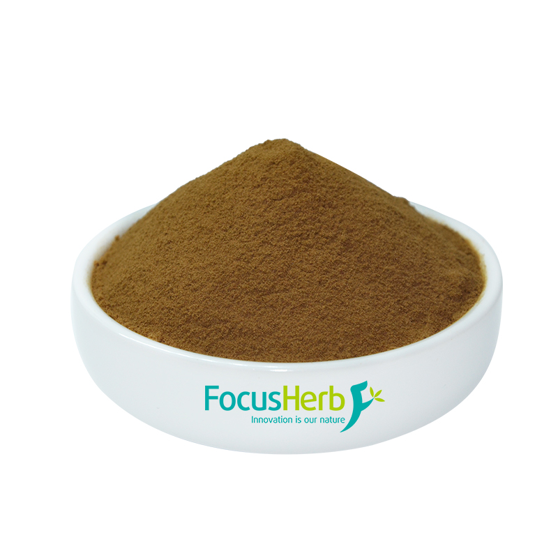 橄榄多酚改善毛囊微循环