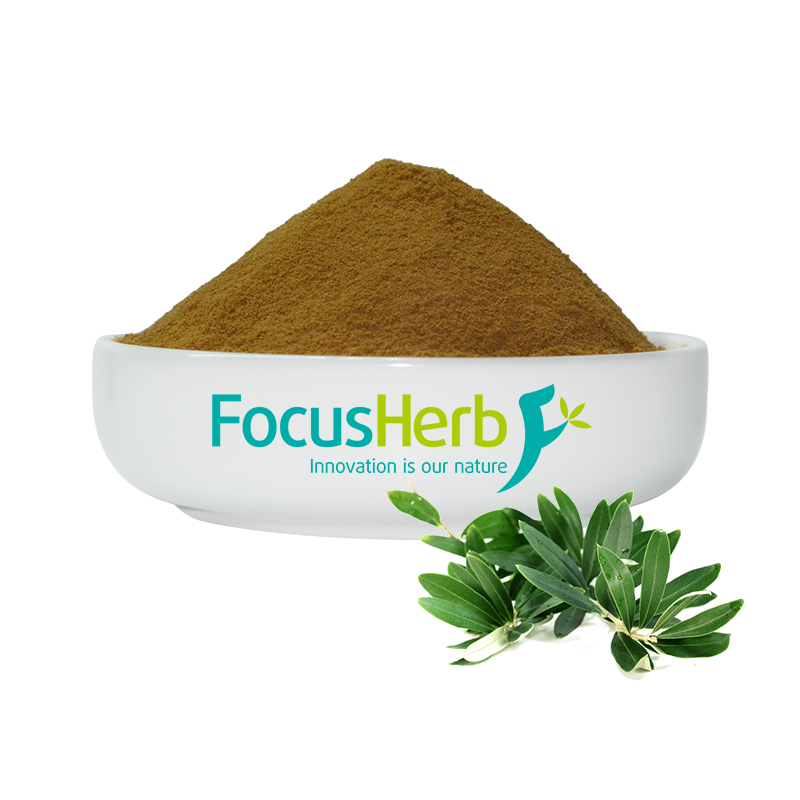 橄榄多酚改善毛囊微循环