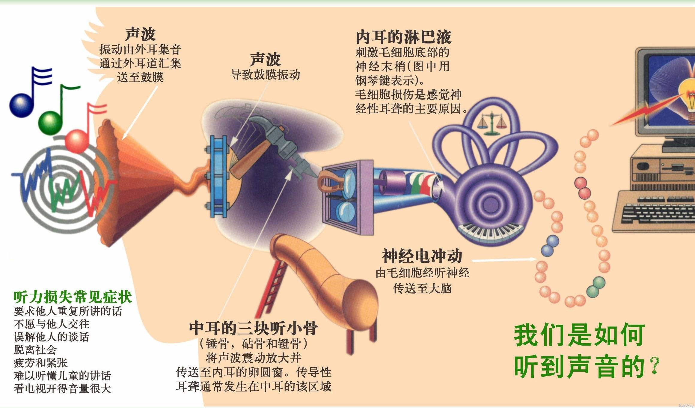 听诊器的原理图片