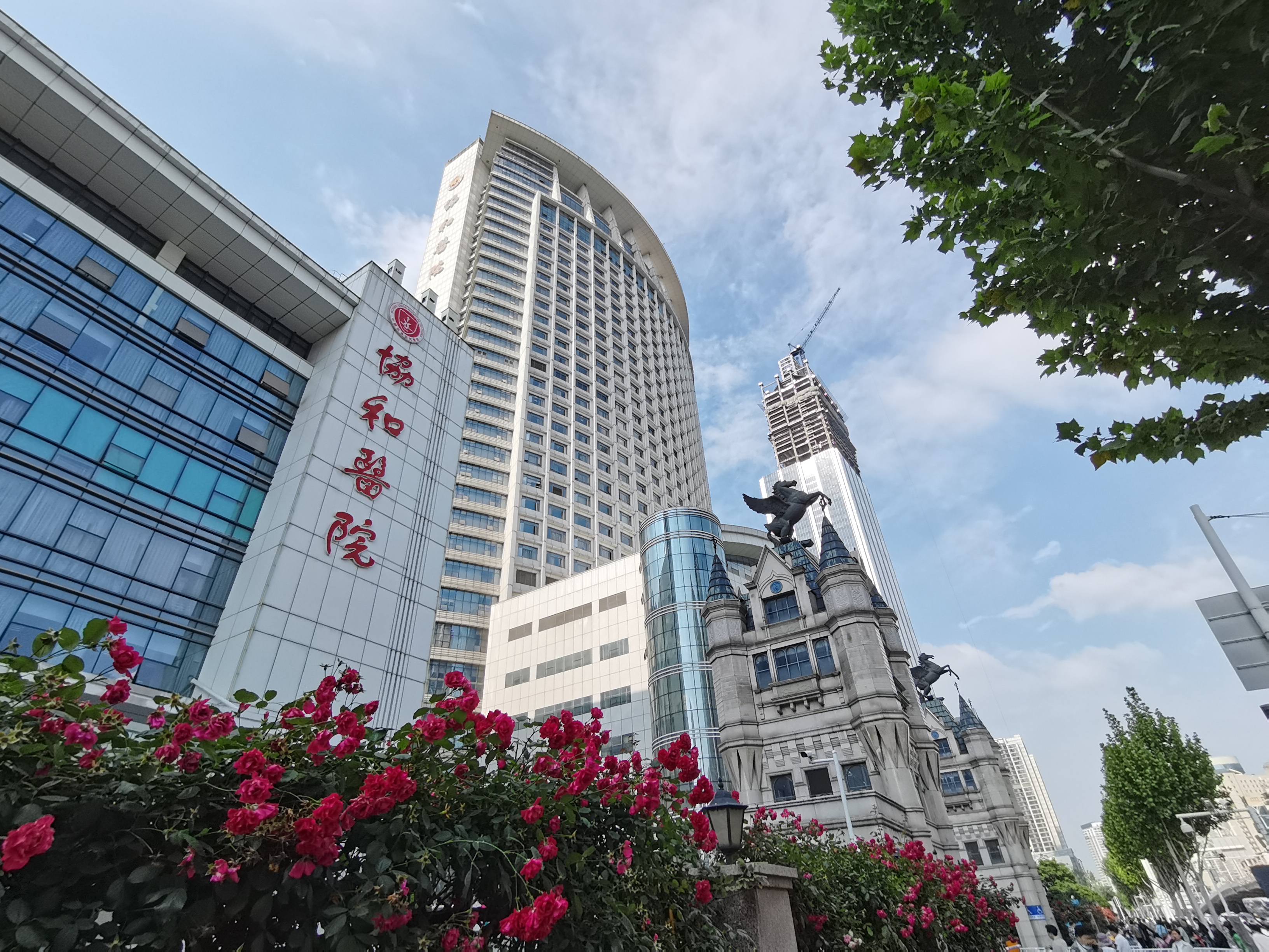 全国陪诊界发展现状如何了?武汉有没有领先的陪诊公司?