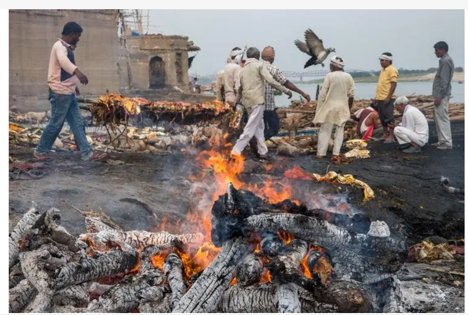 科学严谨的印度恒河旁的火葬