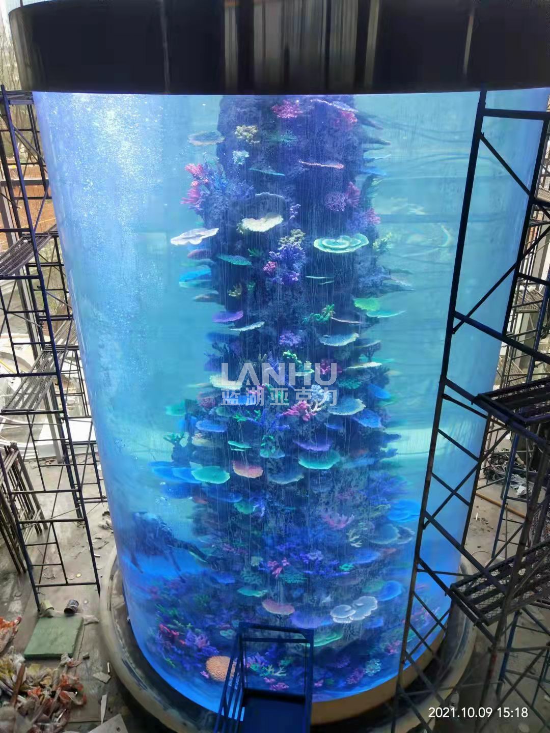 世界上最大的柱形水族箱图片