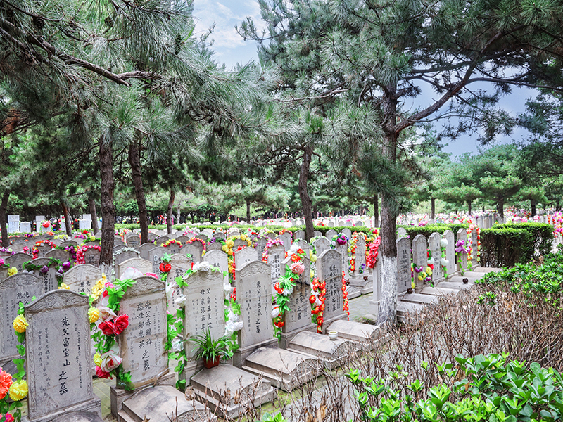 北京朝阳公墓图片